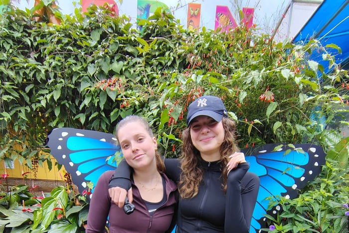 Butterflies: Guided tour with transportation included in Mindo