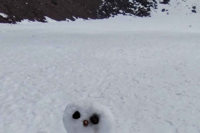 Chimborazo Volcano: Private tour to the closest point to the sun from Riobamba