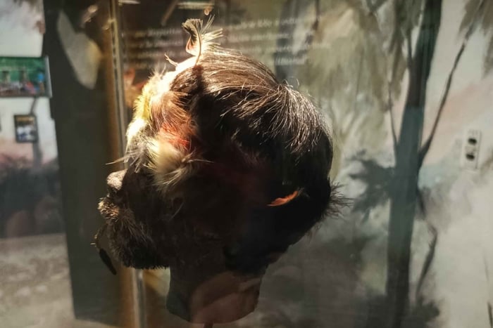 Cuenca: Pumapungo Museum Guided Tour