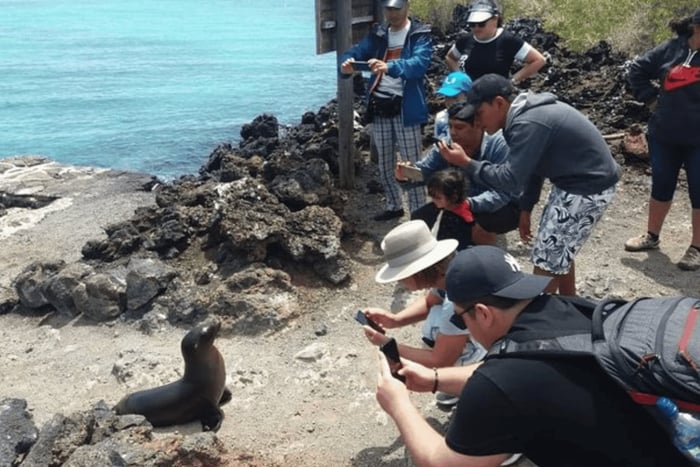 Tagestour zur Insel Isabela und Tintoreras auf Galápagos