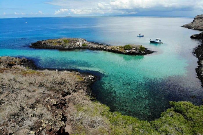 From Puerto Ayora: Pinzón & La Fé - full Snorkeling Tour