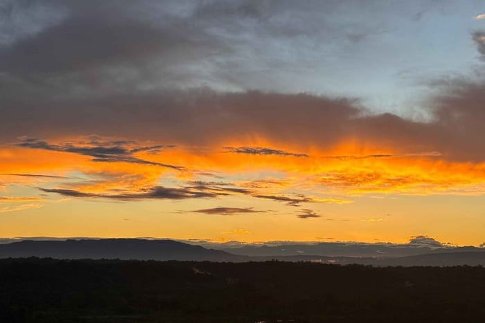 From Quito: 3-Day Amazon Tour with Meals & Lodging