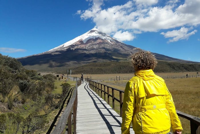 Depuis Quito : Visite d'une jounée du parc national du Cotopaxi avec randonnée
