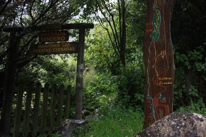 From Quito: Papallacta Trekking & Volcanic Hot Springs