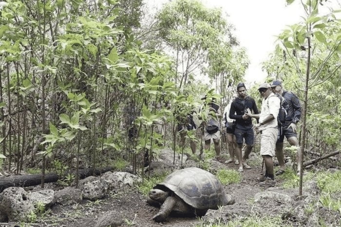 Dagsutflykt till Floreana Island & Piraternas grotta