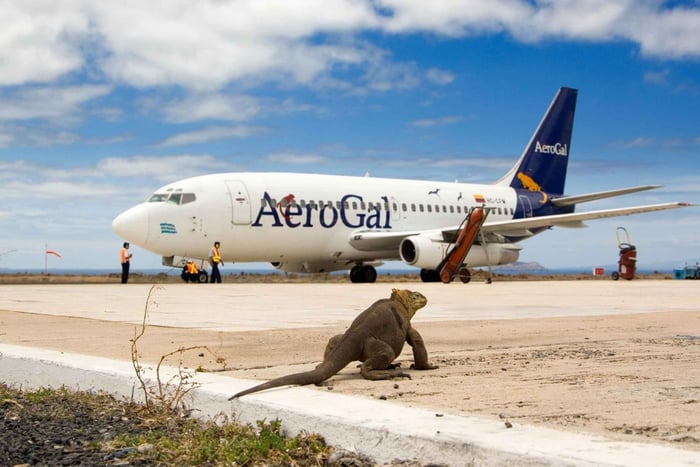 Galapagos GPS Airport Transfers and highlights Tours