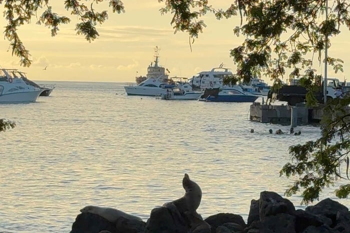 Galápagos: San Cristóbal 4-Day Tour with Snorkeling