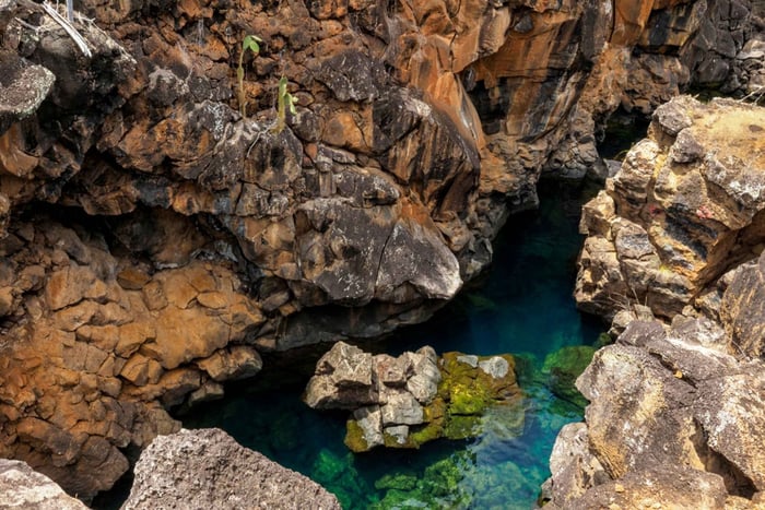 Galápagos: Santa Cruz, tour por la bahía navegable y Las Grietas