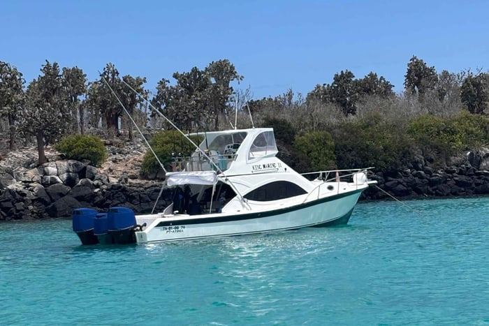 Galápagos: Santa Fe Island Snorkeling Tour