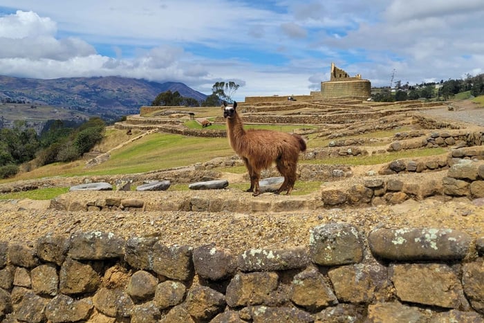 Visita as Ruínas de Ingapirca e a Face Inca em pequenos grupos saindo de Cuenca.