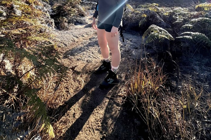 Isabela Island Hiking Tour to Sulfur Fumaroles | Half Day