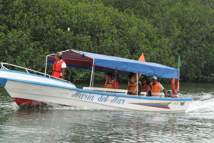 Puerto El Morro Dolphin Watching Activity from Guayaquil