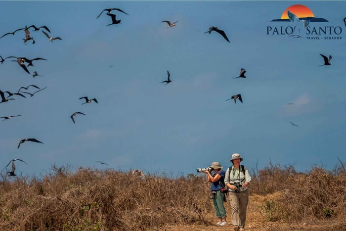 Puerto López: Isla de la Plata: Magien av Mini Galápagos venter på deg