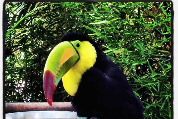 Quito: dierentuintour met vervoer en entree of ticket