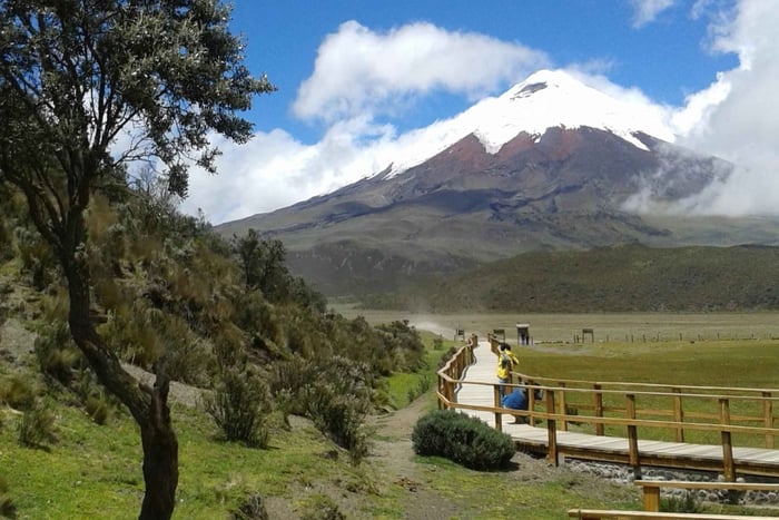 Route to Cotopaxi: Snow, Adventure, Altitude & Páramo Picnic