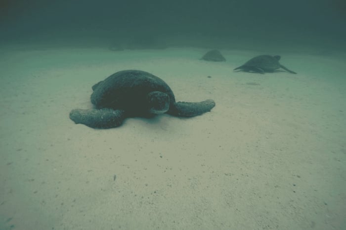 San Cristobal 360 in Galapagos full-day tour