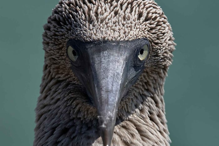 San Cristóbal : expérience complète de 6 jours aux Galápagos