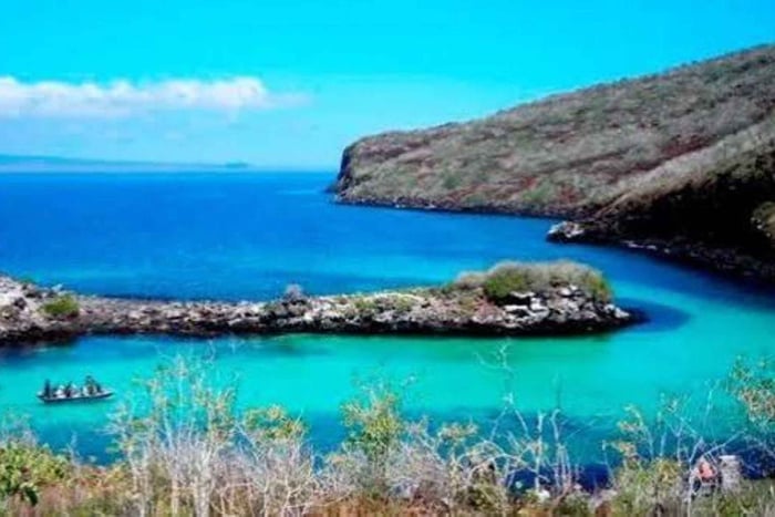 Santa Cruz: 4 dagen snorkelen, Tintoreras, Pinzón en vissen