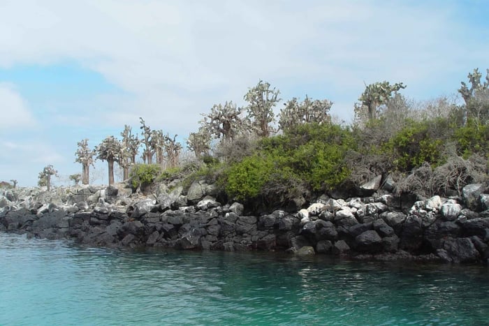 Santa Fe eiland en verborgen strand - snorkelen