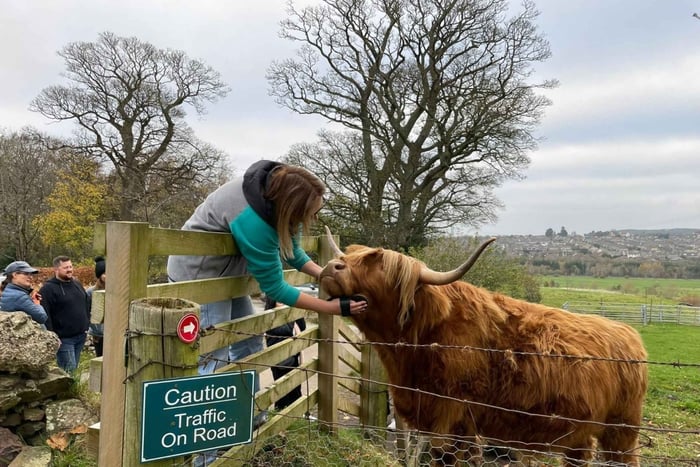 Edinburgh: Highland Cow, Blackness Castle en Cake Tour