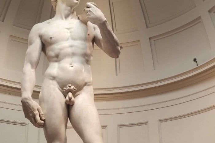 Accademia Gallery Entry Ticket & David Guided Tour