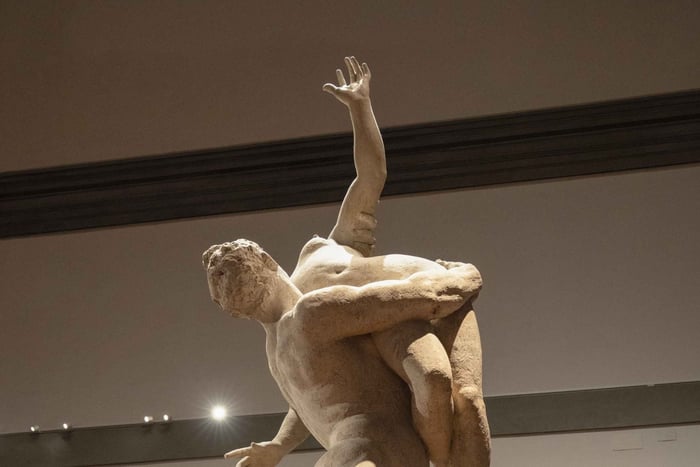 Galleria dell'Accademian pääsylippu