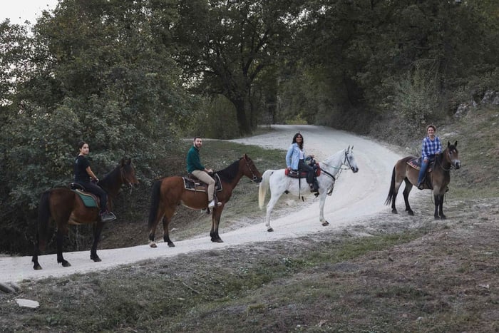 Chianti: Horseback Riding Experience