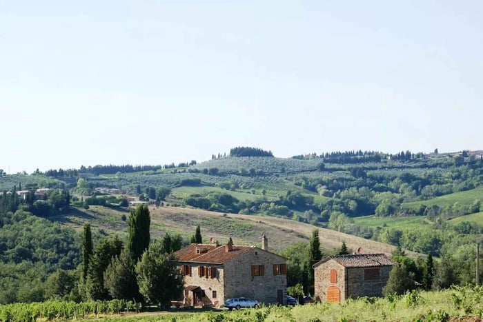 Chianti: Degustazione di vini e olio con visita in cantina fuori Firenze