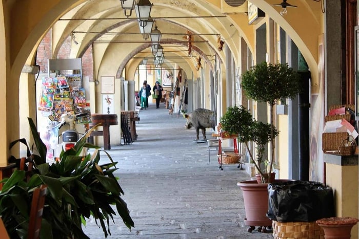 Vintur i Chianti med avresa från Florens på portugisiska