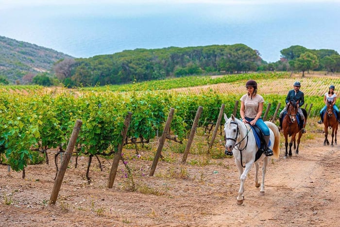 Chianti : équitation et dégustation de vin, visite privée exclusive