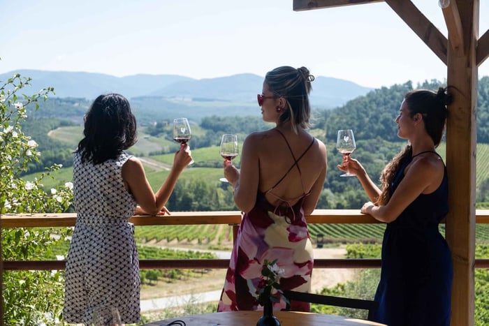 Fra Firenze: Chianti-vintur med 3 vingårde og toscansk frokost