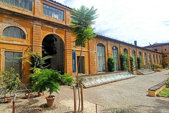 Florenz: Museumsführung im Naturhistorischen Museum mit Gelato-Pause