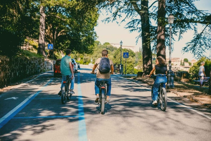 Privétour van 2 uur met de elektrische fiets door de heuvels