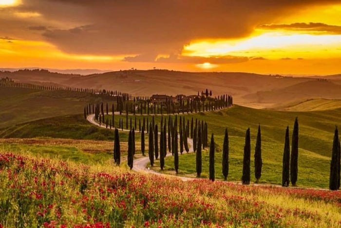Sommerliche Chianti-Weintour bei Sonnenuntergang mit Abendessen & San Gimignano