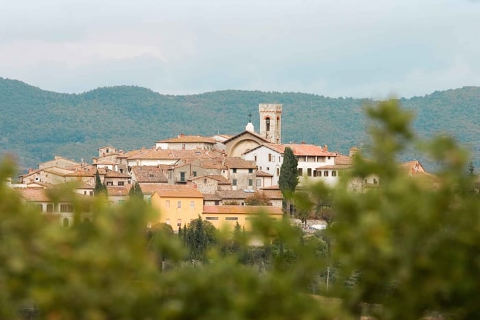 Von Florenz aus: Chianti Hills Wineries Tour mit Verkostung