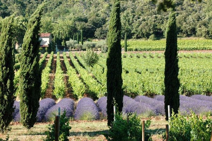 Aix En Provence und Weinverkostung Private Ganztagestour