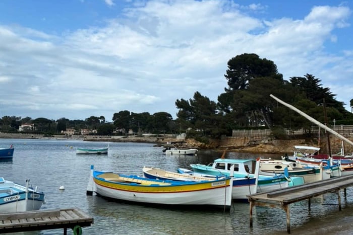 Antibes: Market Tastings, Picasso Castle & Sea Views