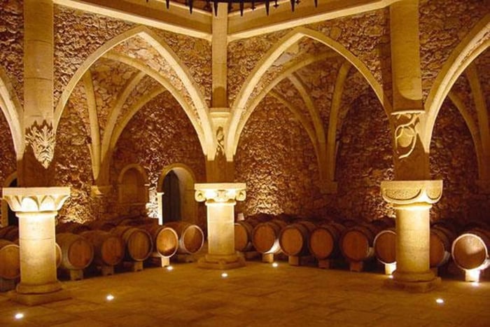 French Riviera: Provencal Wine Tour