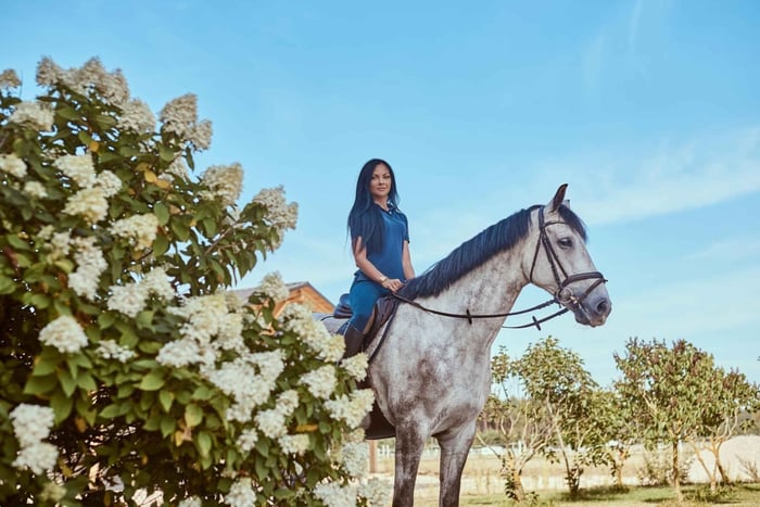 From Cannes: Private Horseback Ride with Mountain Views