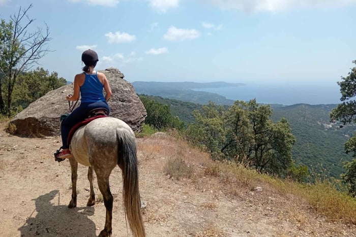 Desde Saint-Tropez: paseo a caballo con vistas al golfo + cruce del río