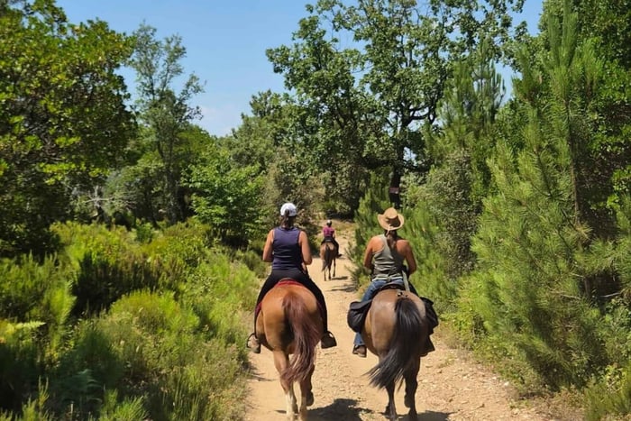 Z Saint-Tropez: jazda konna + degustacja win + odbiór