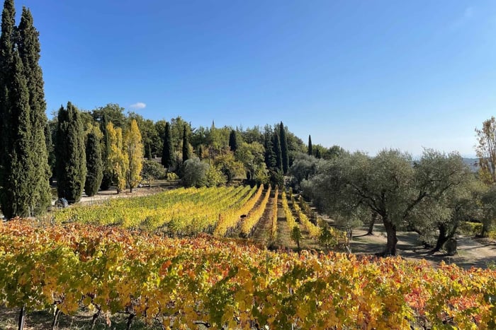 Nice : Visite d'une jounée des vins des Côtes de Provence