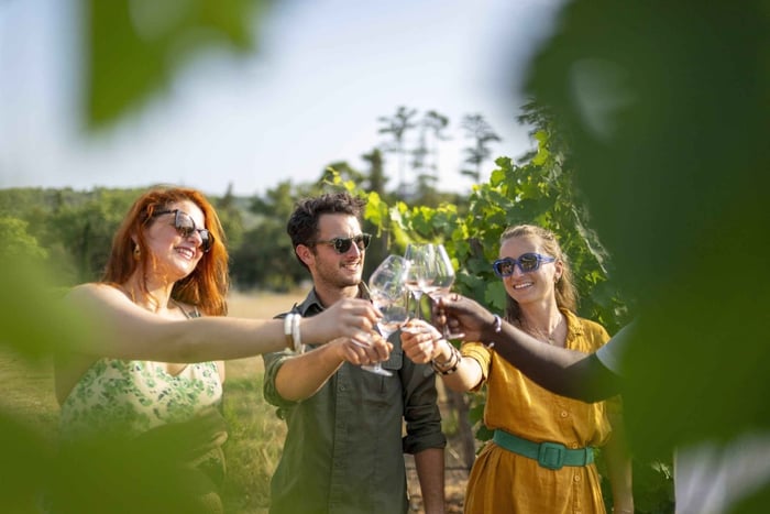 Weintour in der Provence – Kleingruppentour ab Cannes