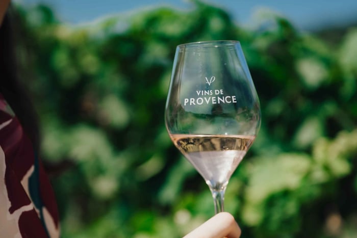 Saint-Tropez: Small Group Wine Tour