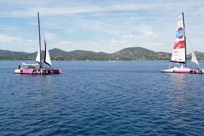 Saint Tropez: Voiles Regatta