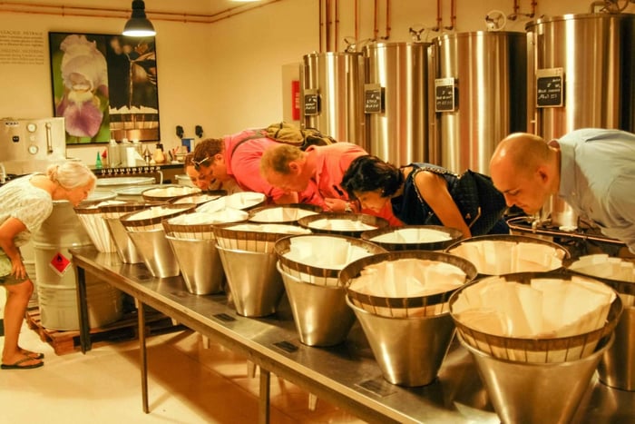 Grasse, Valbonne i Gourdon: Jednodniowa wycieczka z degustacją wina