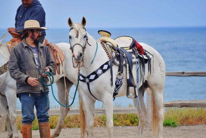 Fuerteventura : balade à cheval au coucher du soleil à El Cotillo