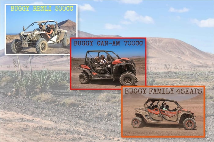 Fuerteventura: Dune Buggy Tour in Northern Fuerteventura