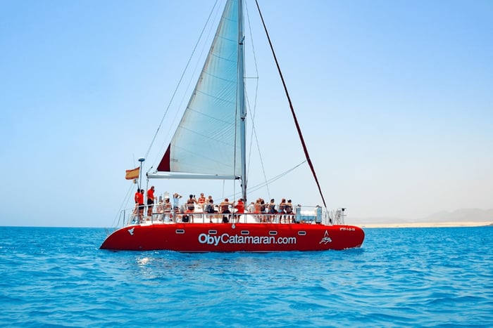 Lobos Island: 4-Hour Catamaran Trip with Lunch