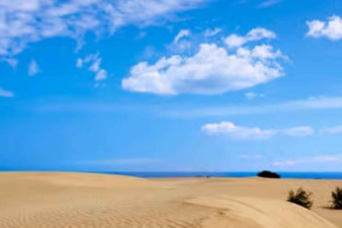Northern Visit to El Cotillo, Wine, and Dunes